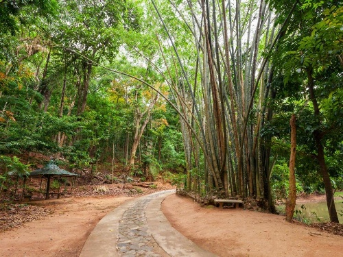 Ceyloni City Hotel image 6